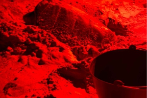 Privat omvisning på Sal Island for å se på skilpadder i naturlig habitat