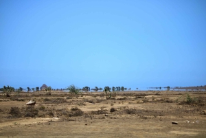 Île de Sal, Salinas, Buracona et Lemon Shark