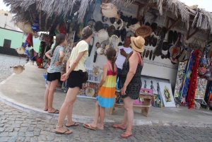 Île de Sal, Salinas, Buracona et Lemon Shark