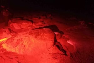 Meeresschildkrötenbeobachtung auf der Insel Sal