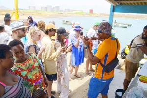 جولة في جزيرة سال: العين الزرقاء، البحيرة المالحة، وأسماك القرش مع مرشد محلي