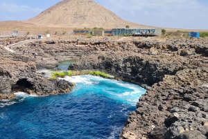 جولة في جزيرة سال: العين الزرقاء، البحيرة المالحة، وأسماك القرش مع مرشد محلي