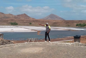 جولة في جزيرة سال: العين الزرقاء، البحيرة المالحة، وأسماك القرش مع مرشد محلي