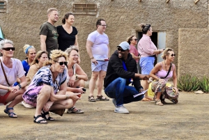 جولة في جزيرة سال: العين الزرقاء، البحيرة المالحة، وأسماك القرش مع مرشد محلي