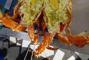 جولة في جزيرة سال: العين الزرقاء، البحيرة المالحة، وأسماك القرش مع مرشد محلي