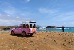 Sal: Island tour with offroad touch and creative pictures