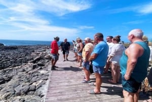 Sal: Island Tours With a Certified Local Guide