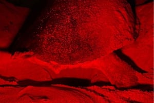 Sal Island Turtle Watch Tour in Natural Habitat