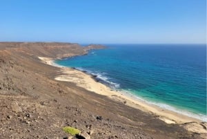 Sal Island Turtle Watch Tour in Natural Habitat