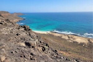 Sal Island Turtle Watch Tour in Natural Habitat