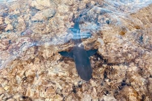 Sal: Pedra de Lume Village, Salt Lake Tour & Shark Swim