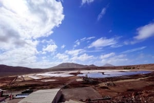Sal: tour dell'isola per piccoli gruppi e pranzo con una famiglia locale