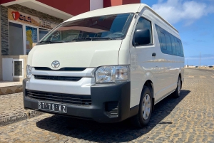 Сал: Служба трансферов