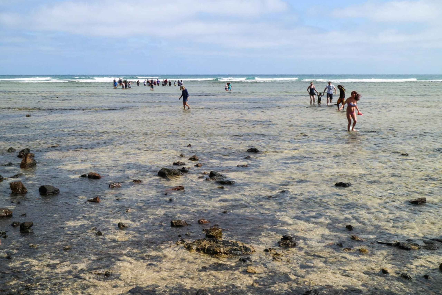 Esperienza con le saline e gli squali limone