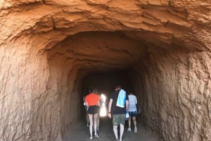 Esperienza con le saline e gli squali limone