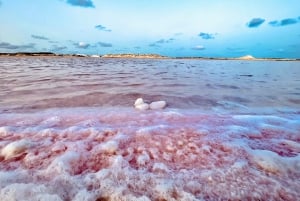 Экскурсия по Санта-Марии и дегустация Кускуза с местной семьей