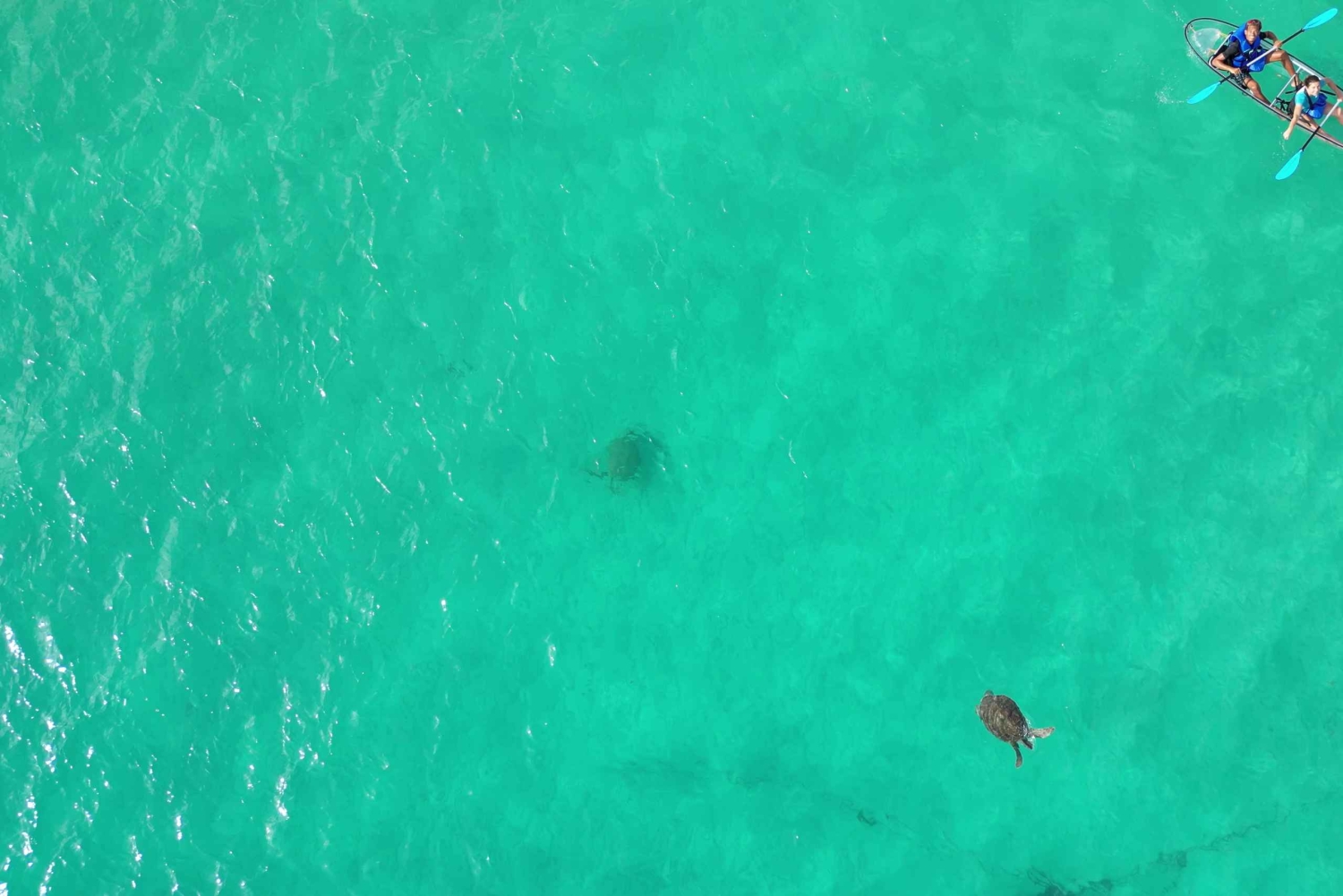 Santa Maria Clear Kayak Tour with Guide