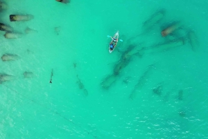 Santa Maria Clear Kayak Tour with Guide