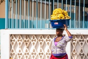 Salin saarelta: Sininen silmä, suolajärvi, sitruunahait, Palmeira