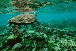 Santa Maria: Guided Wreck and Reef Snorkeling Tour