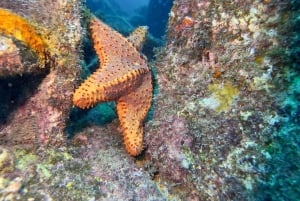 Santa Maria: Guided Wreck and Reef Snorkeling Tour
