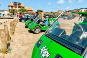 サンタ・マリア 半日または1日カーレンタル、ペドラ・デ・ルメ