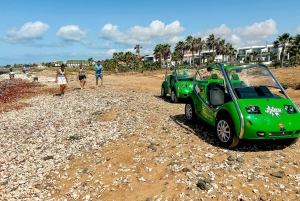 サンタ・マリア 半日または1日カーレンタル、ペドラ・デ・ルメ