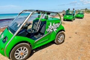 サンタ・マリア 半日または1日カーレンタル、ペドラ・デ・ルメ