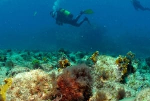 Santa Maria: Review Diving Course with 2 Guided Dives
