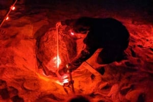 Santa Maria, Salin saari: Sal Sal Sal: Merikilpikonnien tarkkailu