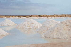 Santa Maria: Naturskjønn Segway-tur med guide