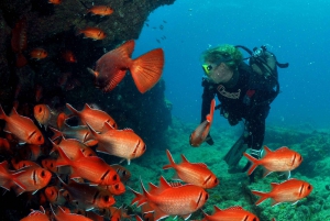Santa Maria: Scuba Diving Package with 3 Dives