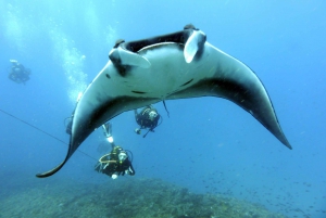 Santa Maria: Scuba Diving Package with 3 Dives