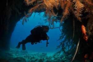 Santa Maria: Dykningspaket med 6 dyk