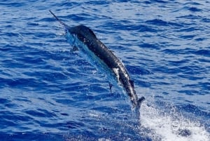 Santa Maria: Vetouistelukalastusretki