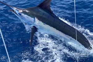 Santa Maria: Vetouistelukalastusretki