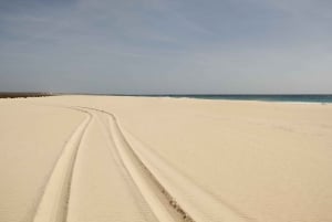 Visite de la plage de Santa Monica