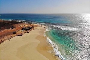 サンタモニカビーチツアー