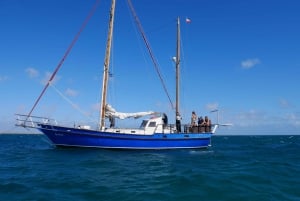 Santamaria Sailing Tour - Sal Island