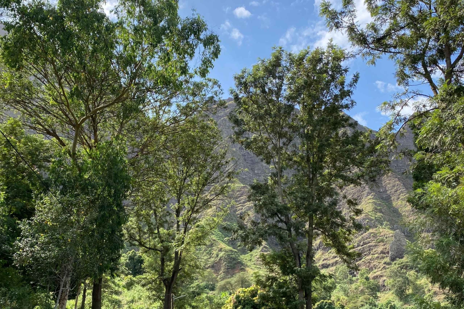 سانتياغو: من الشاطئ، نزهة عند الفجر في بورغيرا-بيكوس مع وجبة خفيفة