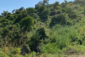 سانتياغو: من الشاطئ، نزهة عند الفجر في بورغيرا-بيكوس مع وجبة خفيفة