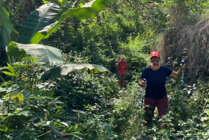 سانتياغو: من الشاطئ، نزهة عند الفجر في بورغيرا-بيكوس مع وجبة خفيفة