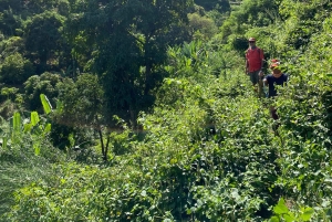 سانتياغو: من الشاطئ، نزهة عند الفجر في بورغيرا-بيكوس مع وجبة خفيفة