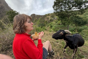 سانتياغو: من الشاطئ، نزهة عند الفجر في بورغيرا-بيكوس مع وجبة خفيفة