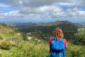 سانتياغو: من الشاطئ، نزهة عند الفجر في بورغيرا-بيكوس مع وجبة خفيفة