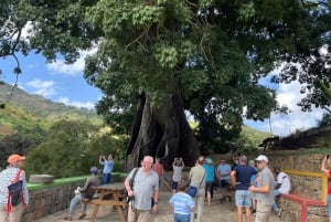 Ilha de Santiago: City Tour em Assomada com almoço
