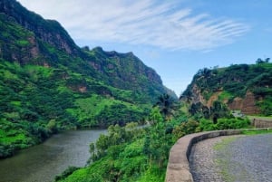 Excursão à plantação de banana e coco com almoço