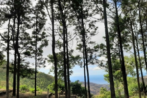 Остров Сантьяго: экскурсия на целый день