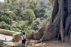 Остров Сантьяго: экскурсия на целый день