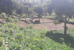 Остров Сантьяго: экскурсия на целый день